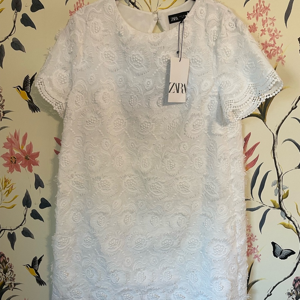 Zara White Lace Women's Dress